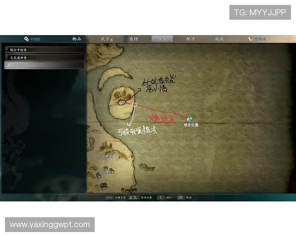 亚星游戏入口攻略新手必读内容完整流程指南