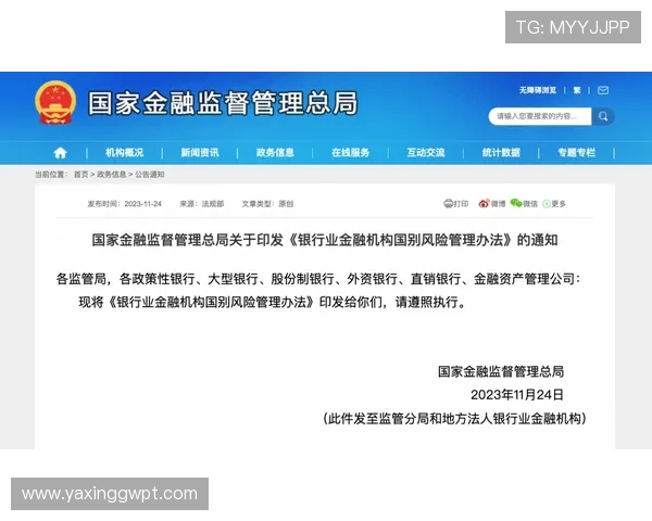 亚新体育官网app安全保障措施解析，确保您的账号信息安全与资金安全无忧