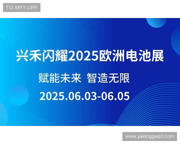 亚星222手机登录教程详细步骤与常见问题解决方案