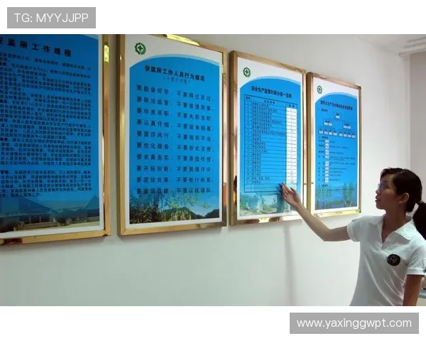 亚星在线官网登录入口安全指南,教你识别正规入口保障账号安全 亚星在线官网登录入口安全指南,教你识别正规入口保障账号安全