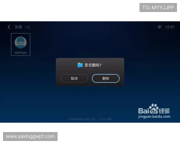 亚星手机版官方登录入口登录失败的原因分析与应对策略