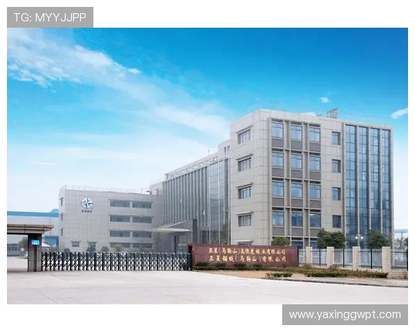 亚星马鞍山高强度链业有限公司在机械制造行业中的创新发展策略
